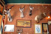 IMG 5739